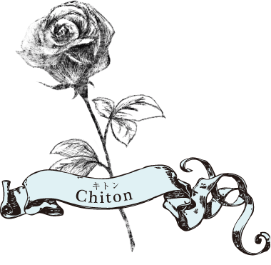 chiton キトン